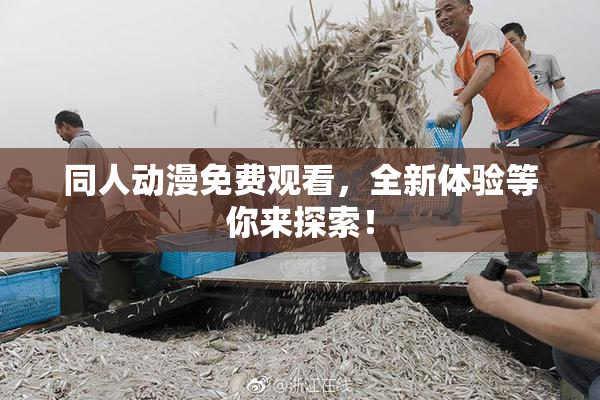 同人动漫免费观看，全新体验等你来探索！