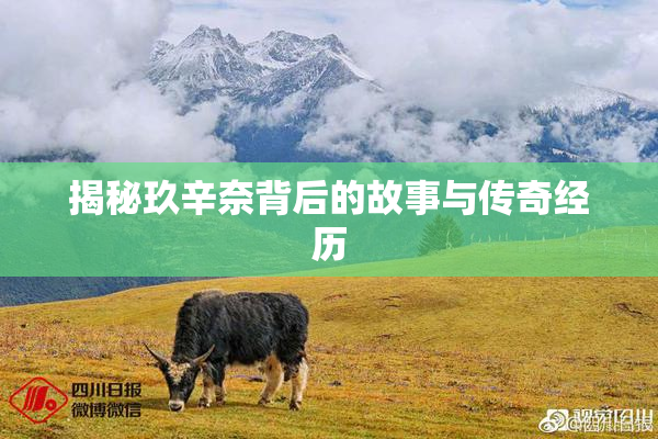 揭秘玖辛奈背后的故事与传奇经历
