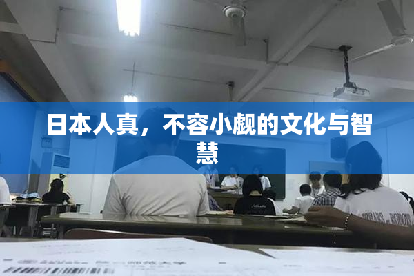 日本人真，不容小觑的文化与智慧