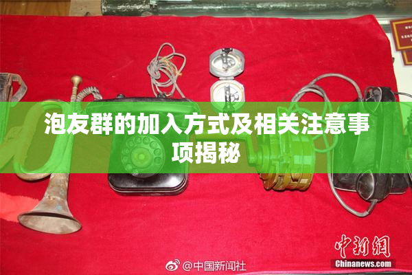 泡友群的加入方式及相关注意事项揭秘