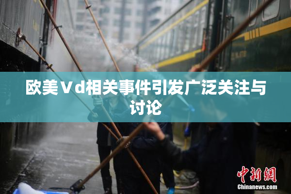 欧美Ⅴd相关事件引发广泛关注与讨论