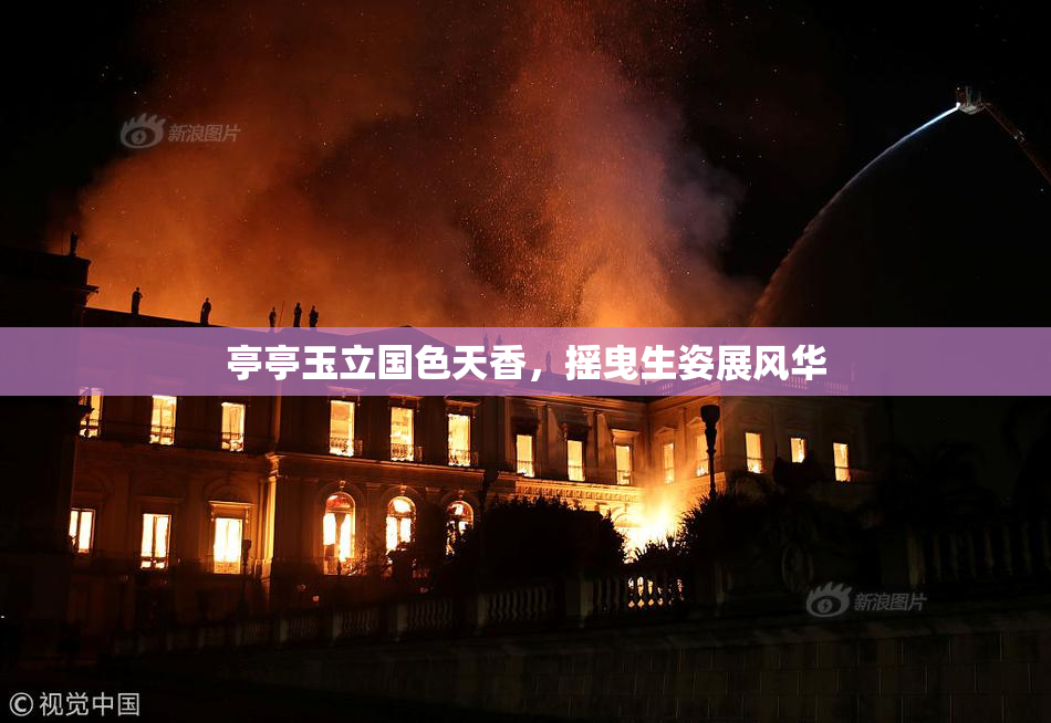 亭亭玉立国色天香，摇曳生姿展风华