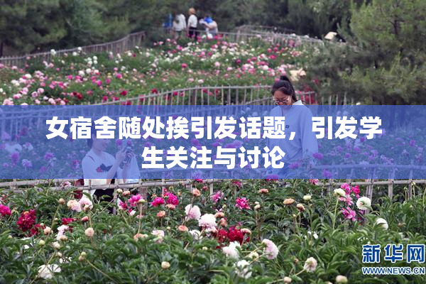 女宿舍随处挨引发话题，引发学生关注与讨论