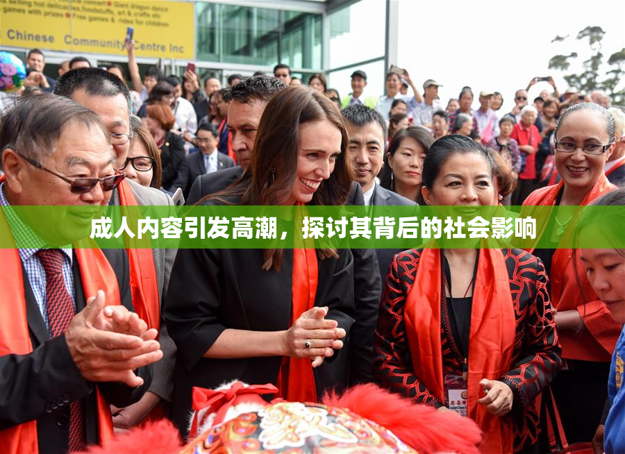 成人内容引发高潮，探讨其背后的社会影响
