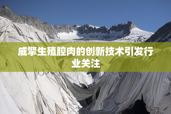 威擎生殖腔肉的创新技术引发行业关注