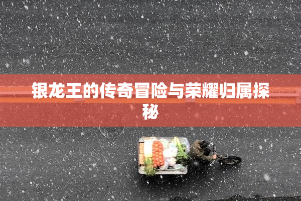 银龙王的传奇冒险与荣耀归属探秘