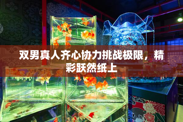 双男真人齐心协力挑战极限，精彩跃然纸上