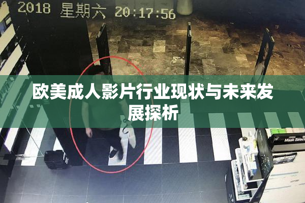 欧美成人影片行业现状与未来发展探析