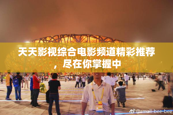 天天影视综合电影频道精彩推荐，尽在你掌握中