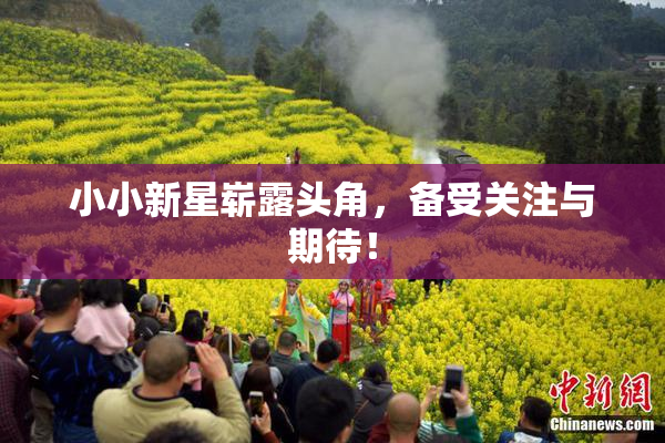 小小新星崭露头角，备受关注与期待！