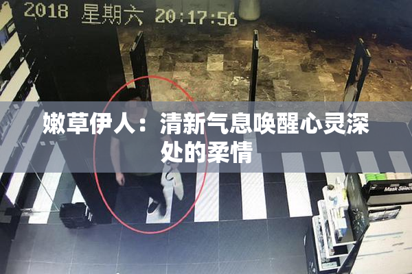 嫩草伊人：清新气息唤醒心灵深处的柔情