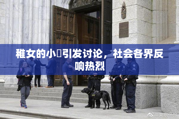 稚女的小泬引发讨论，社会各界反响热烈