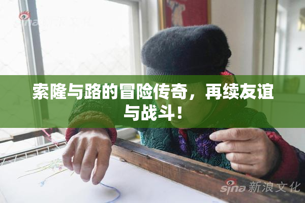 索隆与路的冒险传奇，再续友谊与战斗！