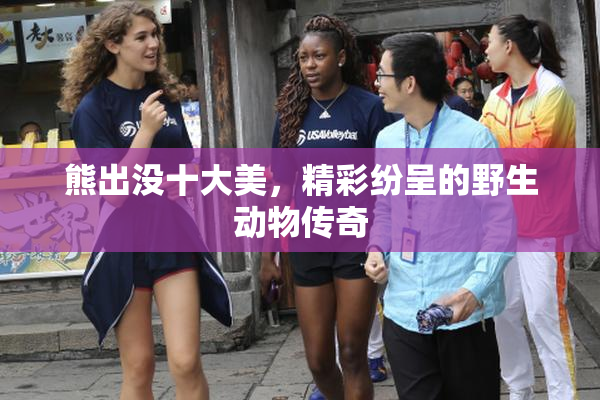 熊出没十大美，精彩纷呈的野生动物传奇