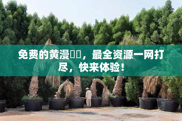 免费的黄漫❌‌，最全资源一网打尽，快来体验！