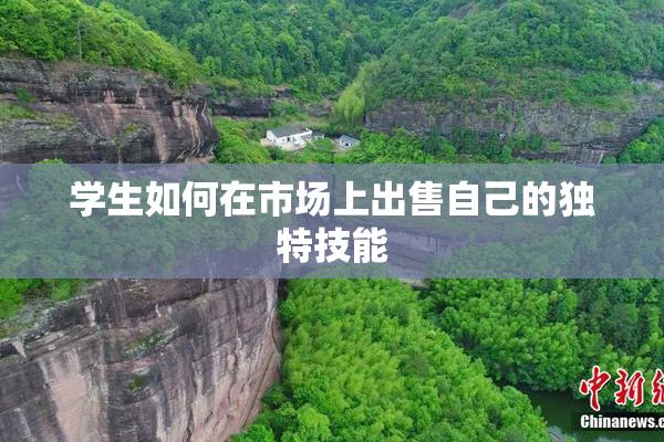 学生如何在市场上出售自己的独特技能