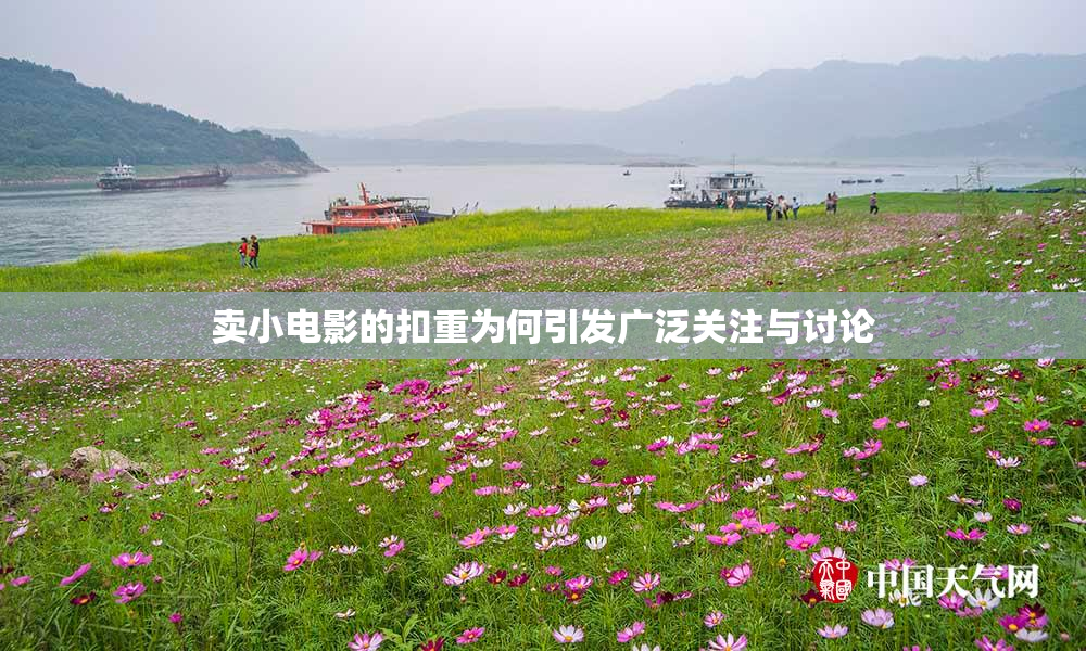 卖小电影的扣重为何引发广泛关注与讨论
