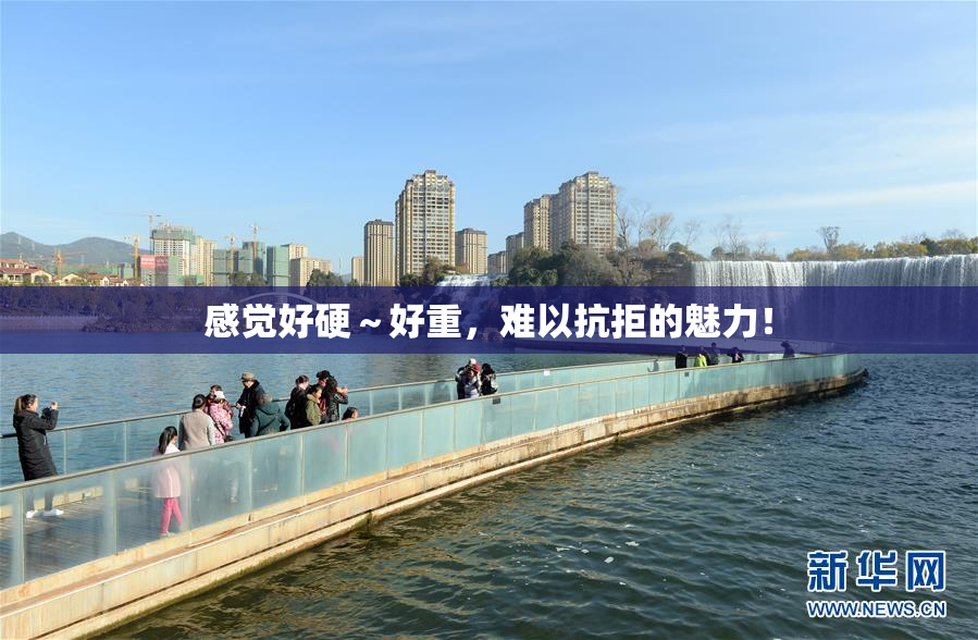 感觉好硬～好重，难以抗拒的魅力！