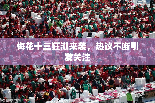 梅花十三狂潮来袭，热议不断引发关注