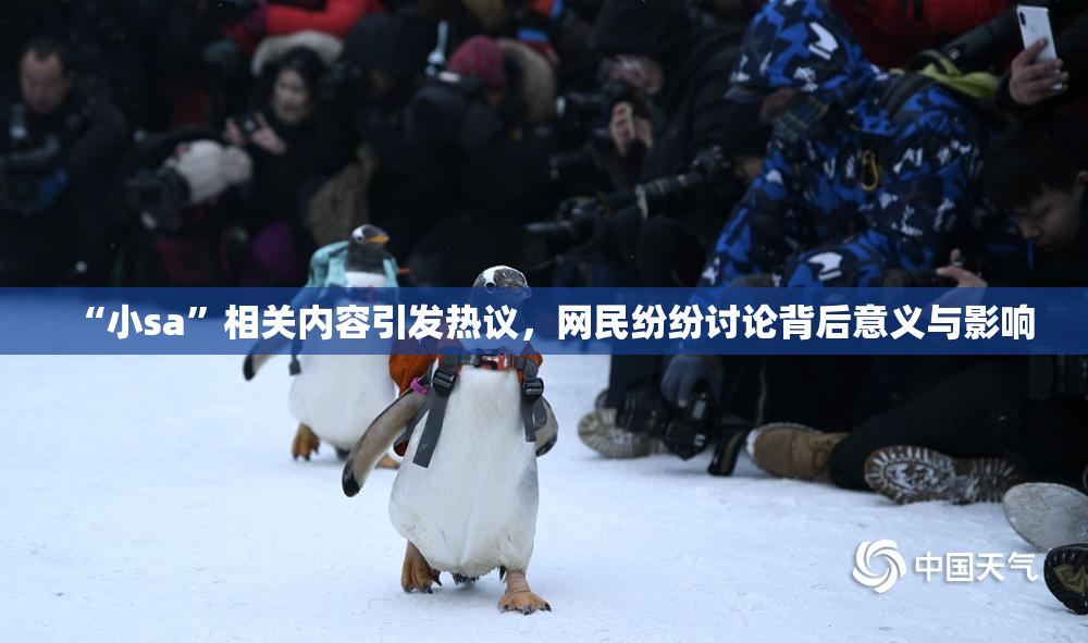 “小sa”相关内容引发热议，网民纷纷讨论背后意义与影响