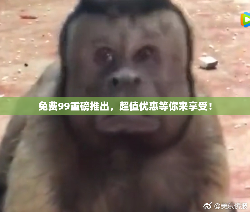 免费99重磅推出，超值优惠等你来享受！
