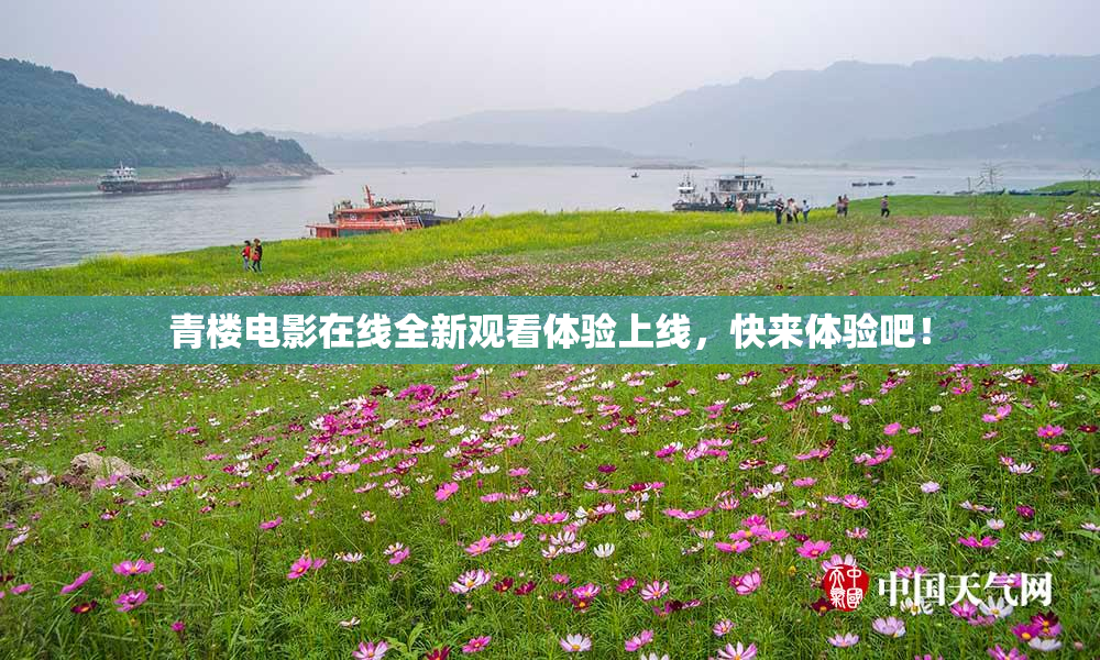 青楼电影在线全新观看体验上线，快来体验吧！
