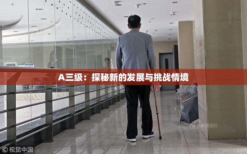 A三级：探秘新的发展与挑战情境