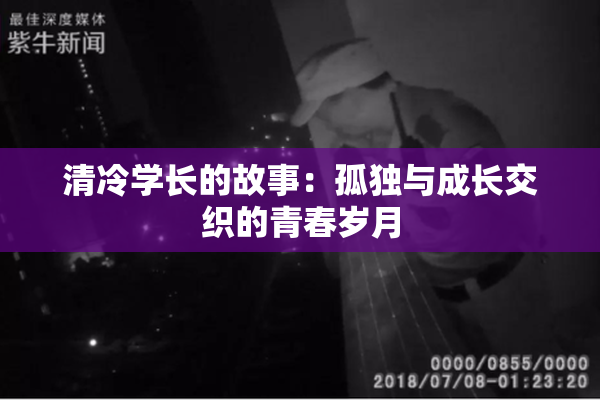 清冷学长的故事：孤独与成长交织的青春岁月