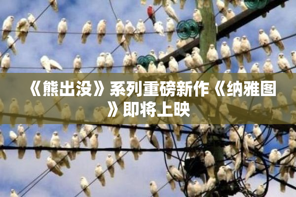 《熊出没》系列重磅新作《纳雅图》即将上映