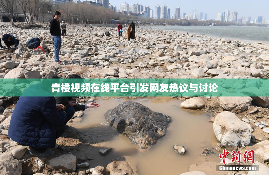 青楼视频在线平台引发网友热议与讨论