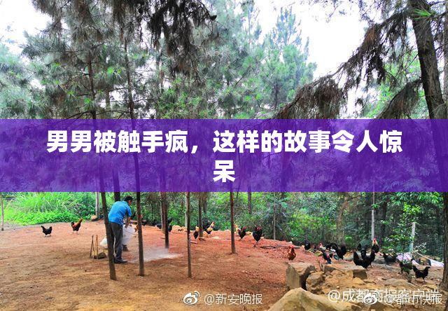 男男被触手疯，这样的故事令人惊呆