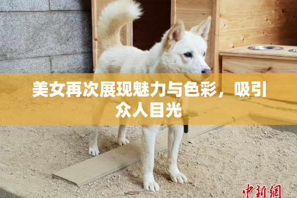 美女再次展现魅力与色彩，吸引众人目光