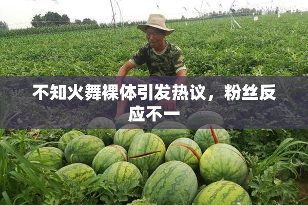 不知火舞裸体引发热议，粉丝反应不一