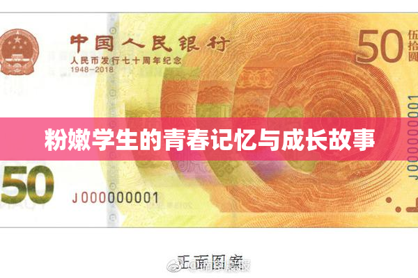 粉嫩学生的青春记忆与成长故事
