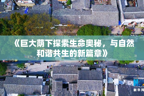 《巨大荫下探索生命奥秘，与自然和谐共生的新篇章》