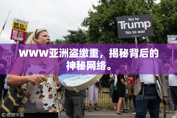 WWW亚洲盗缴重，揭秘背后的神秘网络。