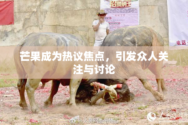芒果成为热议焦点，引发众人关注与讨论