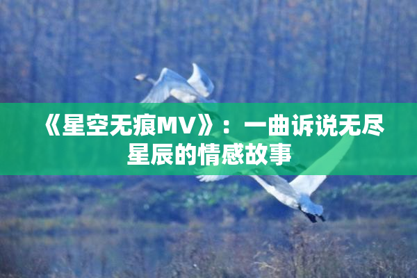 《星空无痕MV》：一曲诉说无尽星辰的情感故事