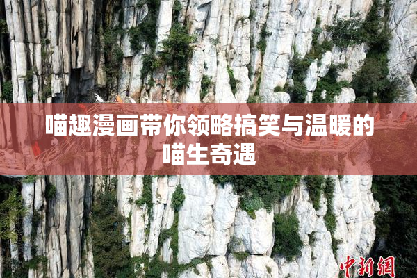喵趣漫画带你领略搞笑与温暖的喵生奇遇