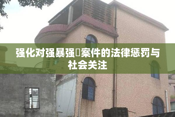 强化对强暴强姦案件的法律惩罚与社会关注