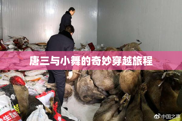 唐三与小舞的奇妙穿越旅程