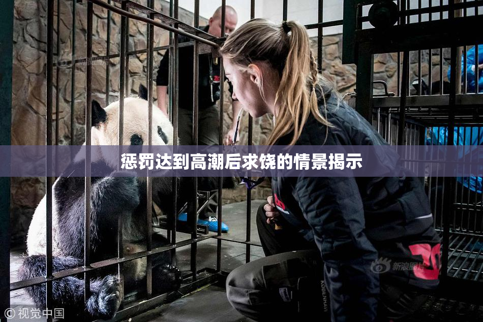 惩罚达到高潮后求饶的情景揭示