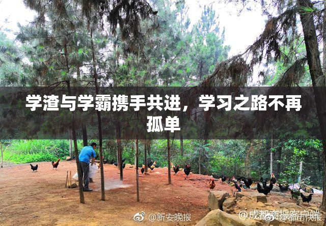 学渣与学霸携手共进，学习之路不再孤单