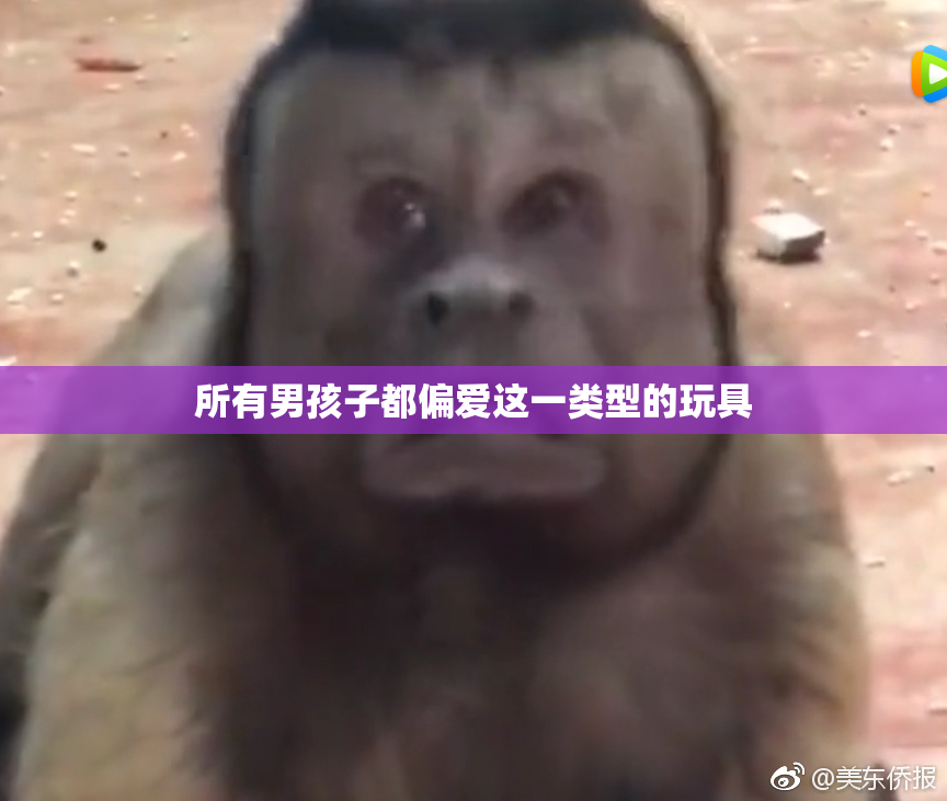 所有男孩子都偏爱这一类型的玩具