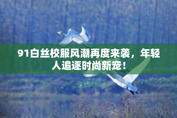 91白丝校服风潮再度来袭，年轻人追逐时尚新宠！