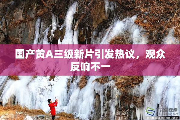 国产黄A三级新片引发热议，观众反响不一