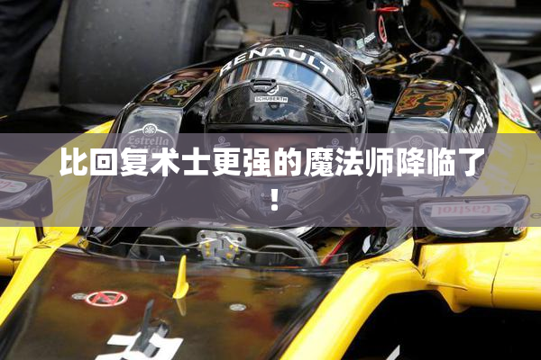 比回复术士更强的魔法师降临了！