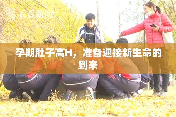 孕期肚子高H，准备迎接新生命的到来