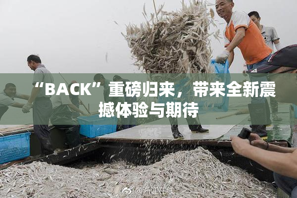 “BACK”重磅归来，带来全新震撼体验与期待