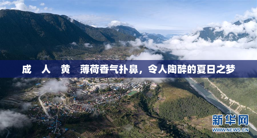 成　人　黄　薄荷香气扑鼻，令人陶醉的夏日之梦